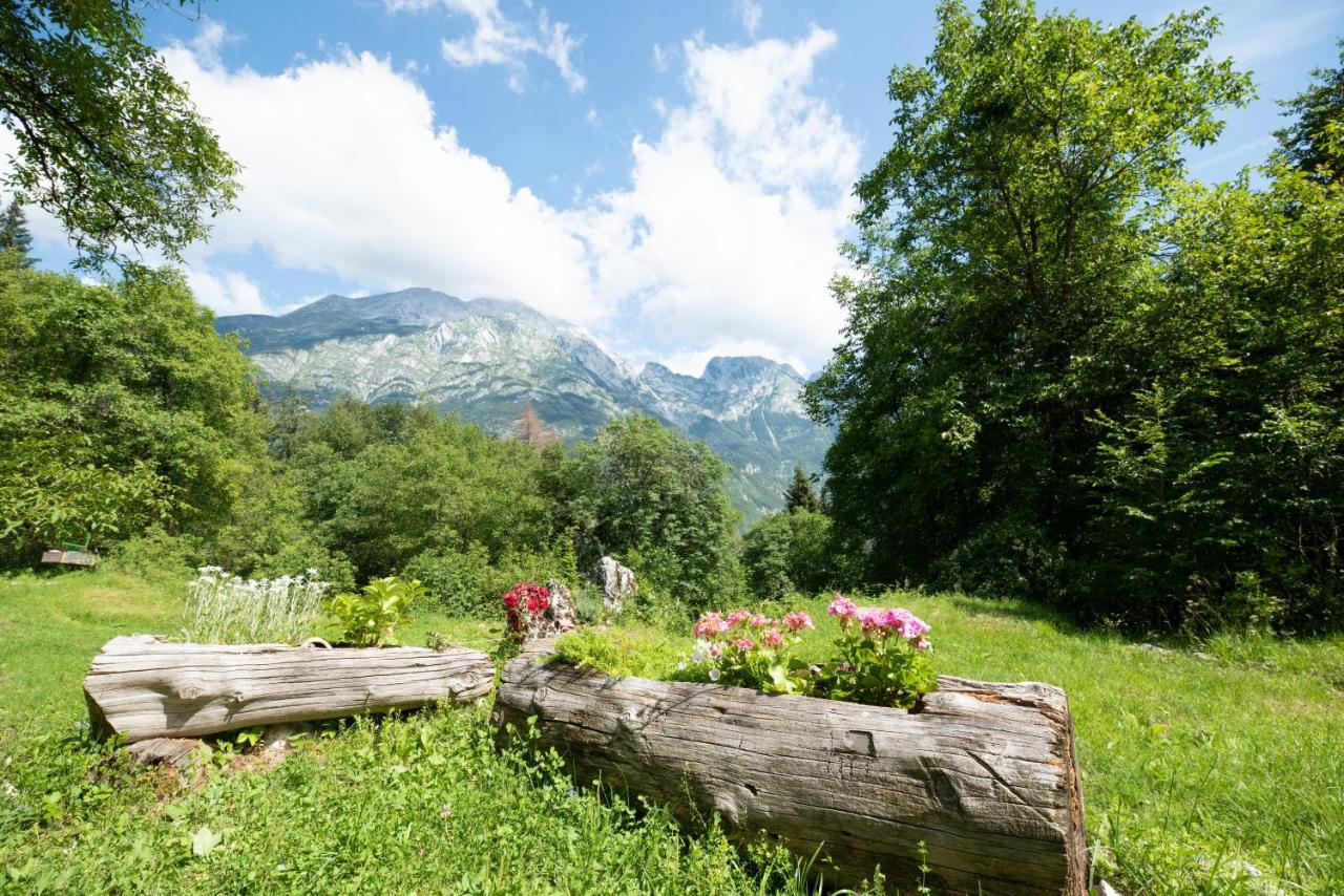 Miha Lodge - Mihcevo Plece Soča Esterno foto
